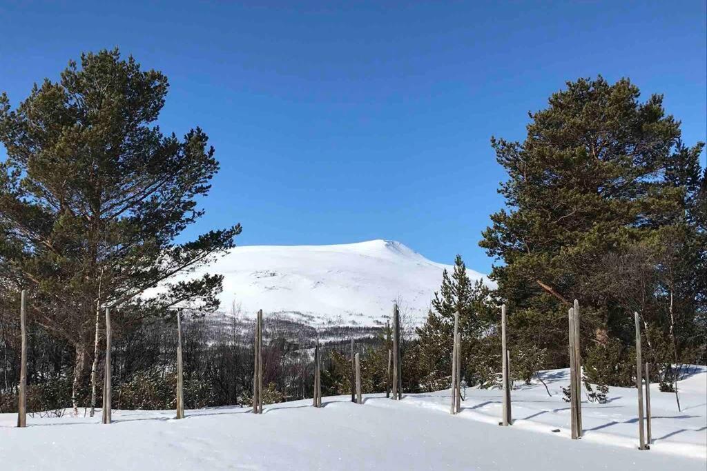 Fjellro Mountain Cabin Оппдал Экстерьер фото
